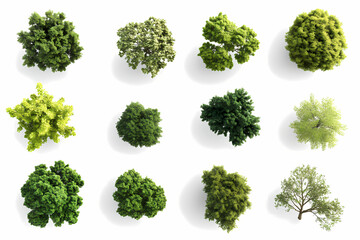 Aerial View Treetop Collection: A diverse collection of twelve individual treetop views, offering various shapes, sizes and shades of green foliage, perfect for design projects.