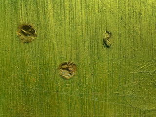 plywood surface background with rough and deformed porous texture. golden yellow. board contour