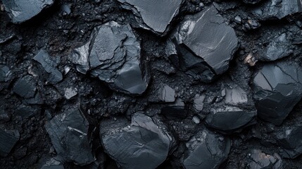 Rough black coal lumps form a dark, textured background. Good for illustrating energy or fossil fuel industry themes.