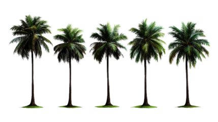 Five palm trees are shown in a row, each with a different height and angle