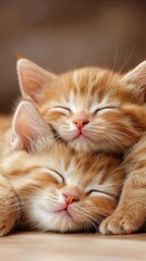 Two orange tabby kittens sleeping peacefully on a wooden floor