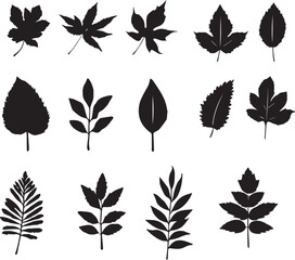 Fototapeta premium Leaf Silhouettes