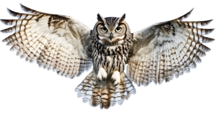 A flying owl with outstretched wings