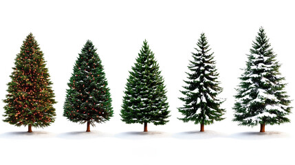 Four different types of Christmas trees are shown in a row