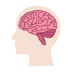 Human head with brain silhouette icon