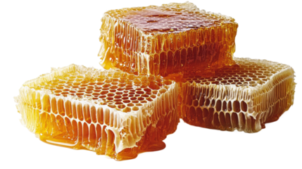 A close up of honeycomb honeycomb honeycomb honeycomb honeycomb