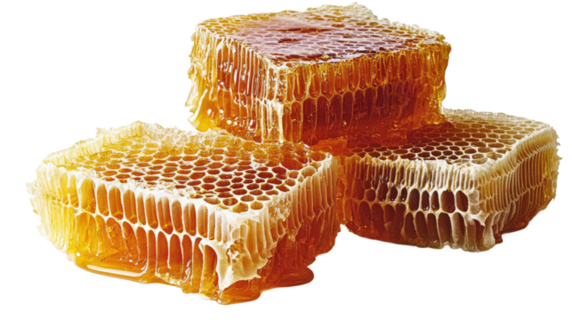 A close up of honeycomb honeycomb honeycomb honeycomb honeycomb