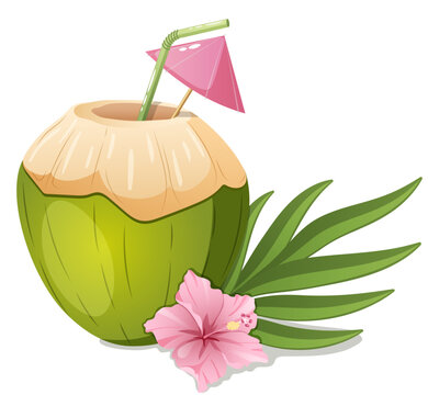 Fresh Green Coconut Drink with Straw and Umbrella, Tropical Coconut Water with Hibiscus Flower and Palm Leaves, Summer Beverage