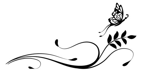 Wave ornament with leaves and butterfly. Text divider. Decorative element for decor and text greeting or invitation card design.