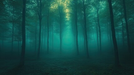 Obraz premium Misty forest path