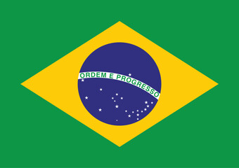 National flag of Brazil vector image