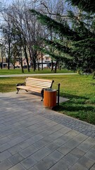 Park Bench Serenity: Capture the calmness of a park with a solitary bench, with lush trees. This photo exudes tranquility. 