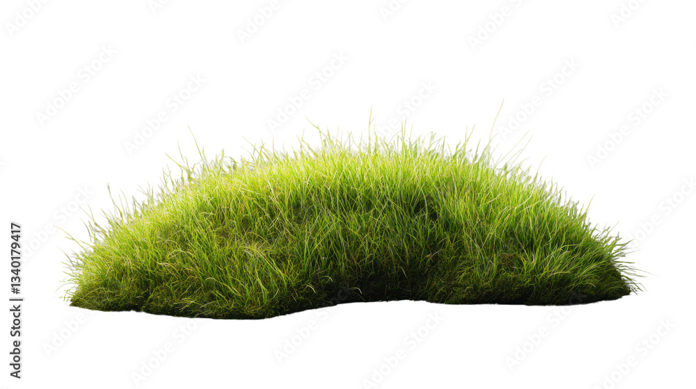 Poster patch of grass growing on transparent background for easy integration