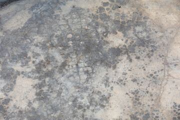 Gray grunge concrete wall texture