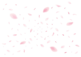 春の風に吹かれて舞い落ちる桜の花びら　背景切り抜きイラスト