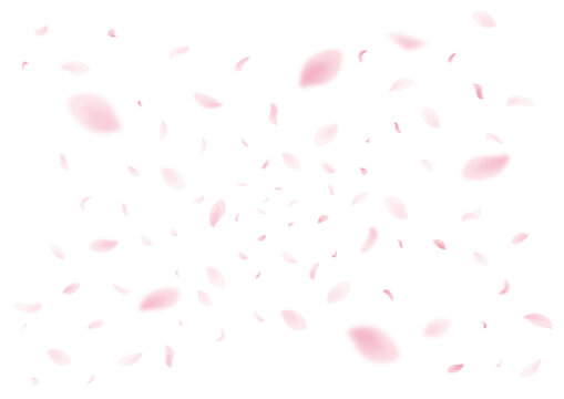 桜の花柄ピンク色打掛 キララシリーズはなびら、サクラ吹雪、 桜の花柄ピンク色打掛 キララシリーズはなびら、サクラ吹雪