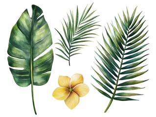 Obraz premium Watercolor Tropical Leaves Flower Palm Monstera Plumeria