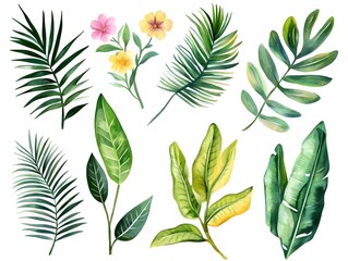 Watercolor Tropical Leaves   Flowers Collection