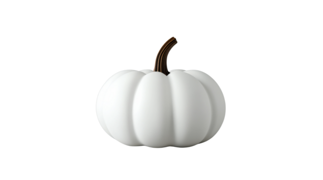 White pumpkin with brown stem isolated on transparent background