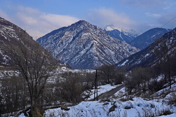 Talgar Gorge. The Tian Shan Mountains, an area with different vegetation.
