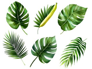 Tropical Leaves  Banana  Palm  Monstera  Watercolor  Green Foliage