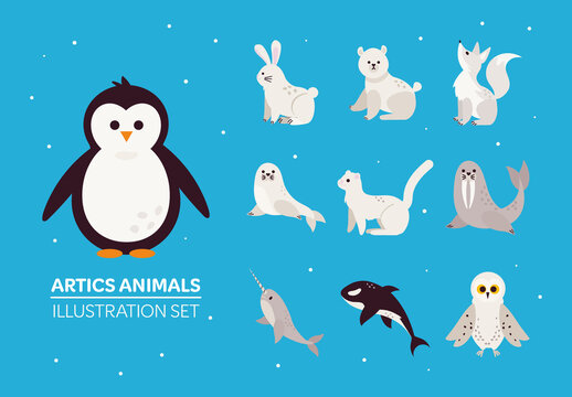 Black and White Arctic Wildlife Illustration Set