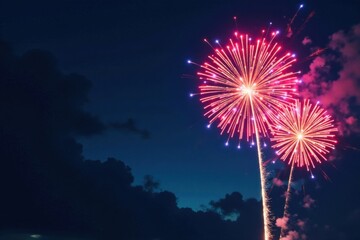 Colorful fireworks exploding in the sky with vibrant patterns and shapes, explosion, burst
