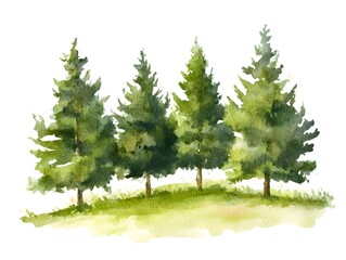 Fototapeta premium Watercolor Painting of Four Evergreen Trees on a Hill
