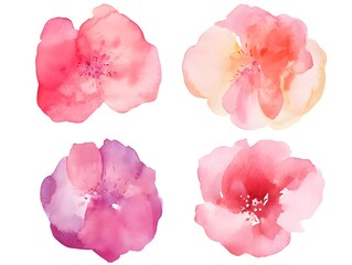 Watercolor Pink Flowers Set  Floral Design  Botanical Illustration