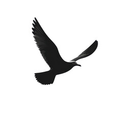 Seagull silhouette in flight coastal landscape illustration nature dynamic view