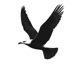 Fototapeta premium Silhouette seagull in flight over ocean waves nature illustration coastal view