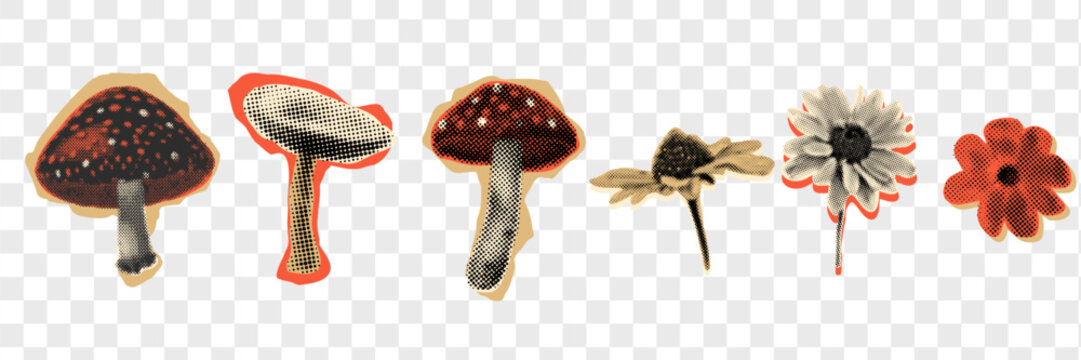 Collage set of elements with Mushrooms and flowers. Modern Halftone Conceptual abstract template design.