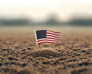American Flag for Field, Growth, Hope.