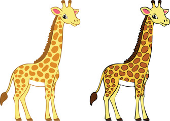 giraffe vector illustration