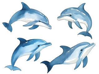 Obraz premium Watercolor Dolphins Ocean Wildlife Set Marine Mammal Art