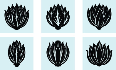 Fototapeta premium Endive silhouette vector