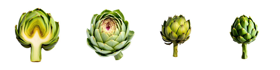 Fototapeta premium Fresh Green Artichoke Detailed isolated on white background , top view.