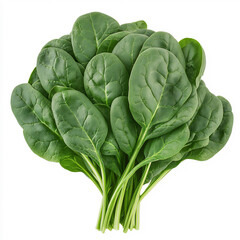 Obraz premium realistic image of a bunch of spinach isolated on a white background,