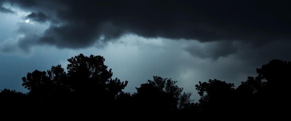 Obraz premium Dark, ominous silhouette of trees against a stormy sky, dark, spooky