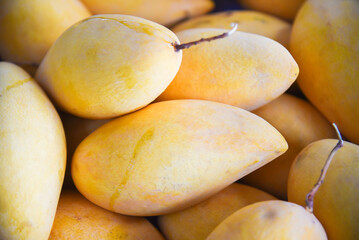 Heap of Mango.fruit ,Mango. Close up of fresh ripe mango fruit