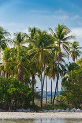 Costa Rica beach and nature amazing colors