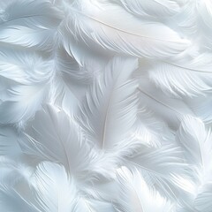 Fototapeta premium Ethereal white feathers creating a soft and delicate texture background showcasing purity and lightness in a serene and calming composition with a gentle aesthetic