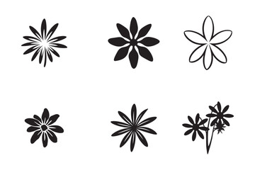 Edelweiss Meaning: The Flower of Courage and Devotion