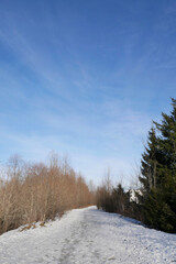 Hiking trail leading to the woods near Squamish River and the Brackendale Eagle Run during a winter season in Squamish, British Columbia, Canada