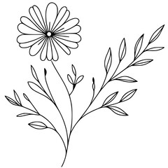 Beautiful flower sketch silhouette