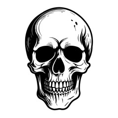 Fototapeta premium black and white human skull