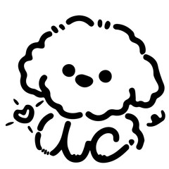 vector illustration of a Poodle