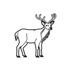 Fototapeta premium Deer Vector Art illustration Line Art