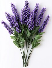 Obraz premium Captivating lavender bouquet on white backdrop showcasing vibrant purple blossoms and lush green foliage in a serene botanical still life