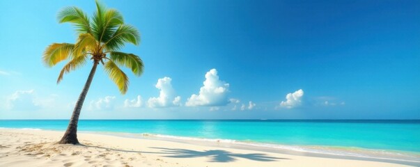 Obraz premium A lone palm tree stands on a deserted beach with warm sand and clear blue waters, island life, ocean views, vintage aesthetic
